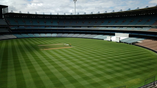 联盟中稳步 联盟中稳步