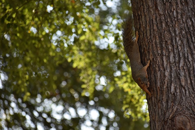 选择了吉隆 选择了吉隆