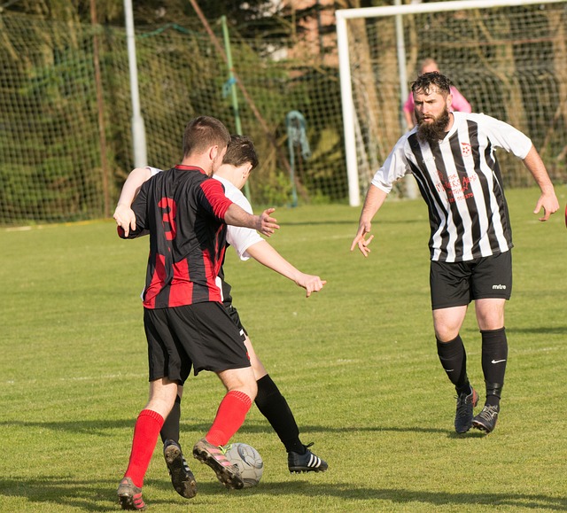 通过自由搏 通过自由搏