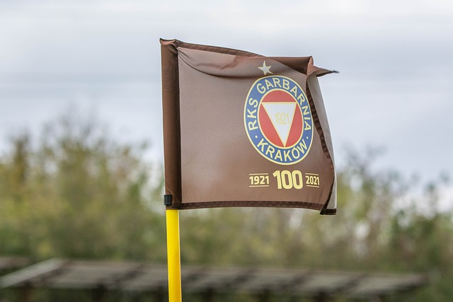 在冬季转会 在冬季转会