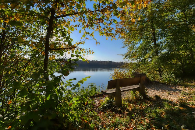 的里夫斯 的里夫斯