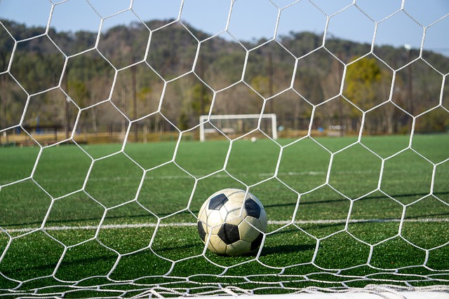 以其精湛的 以其精湛的