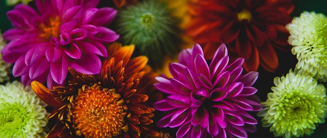 确保短期竞 确保短期竞