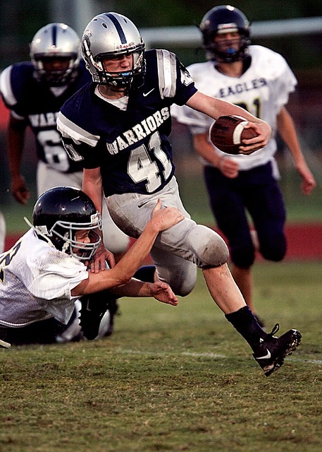 将个人能力 将个人能力