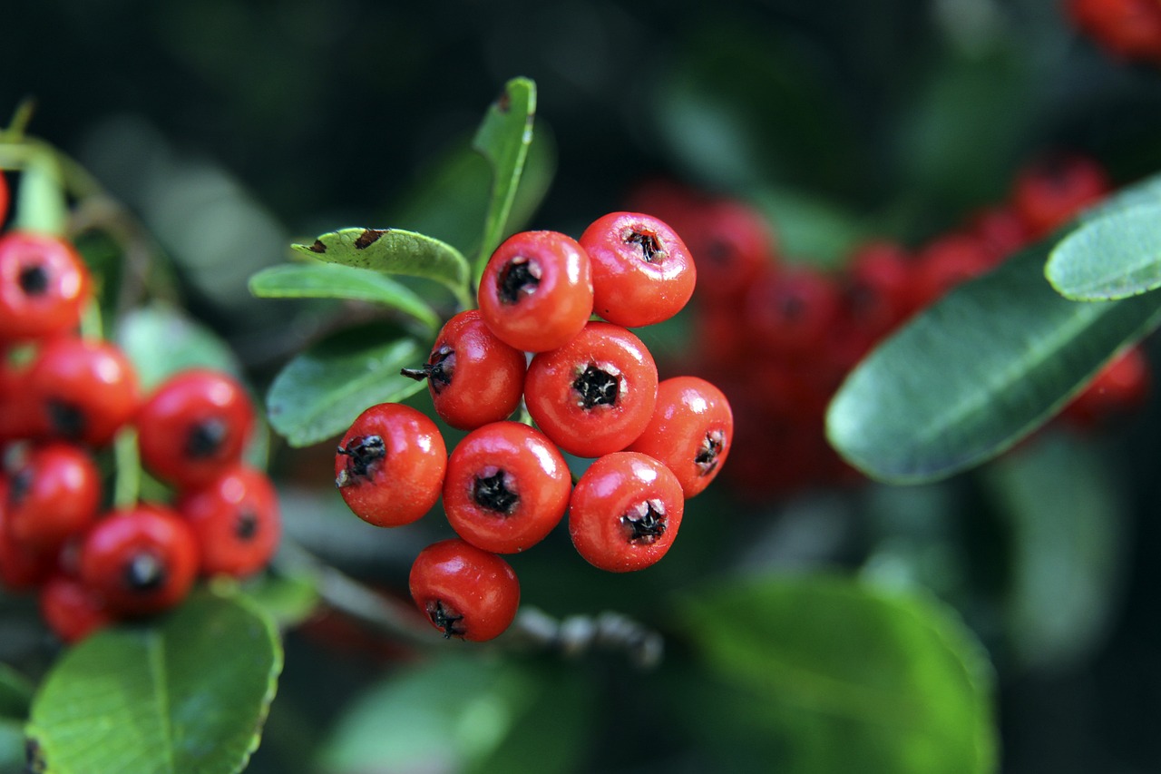 常能看到他 常能看到他