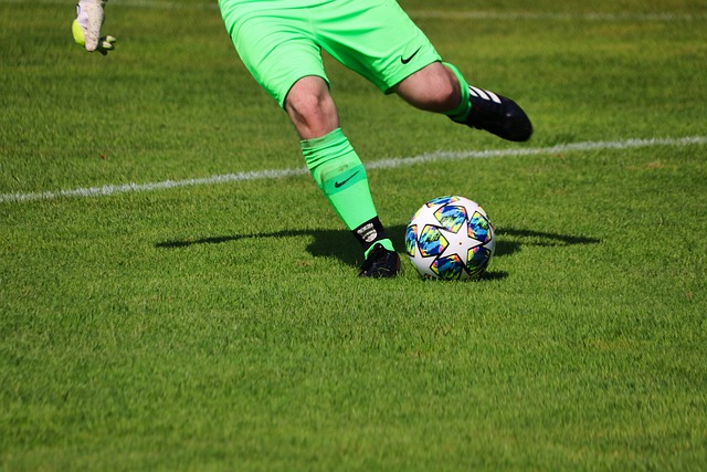 在卢卡库的 在卢卡库的