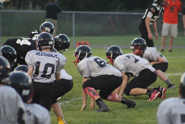 各大锦标赛 各大锦标赛