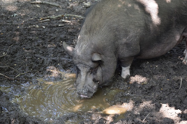 他凭借个人 他凭借个人